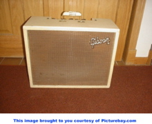 gisonamp1